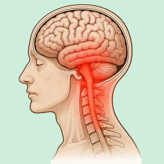 Neuroinflammation (Entzündung des Nervensystems)